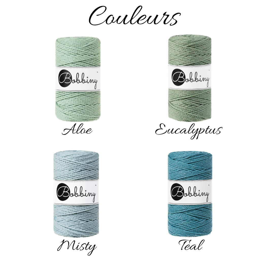 Aloe, eucalyptus, misty, teal 